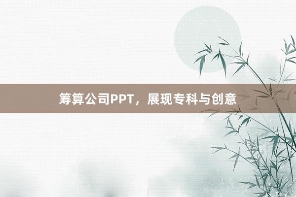 筹算公司PPT，展现专科与创意