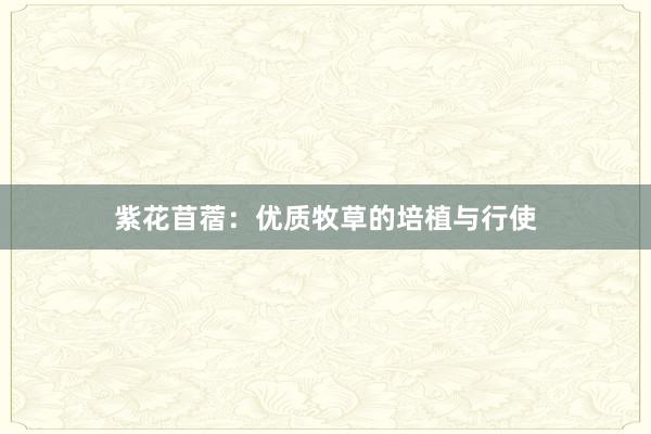 紫花苜蓿：优质牧草的培植与行使